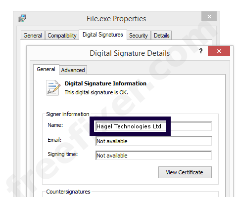 Screenshot of the Hagel Technologies Ltd. certificate